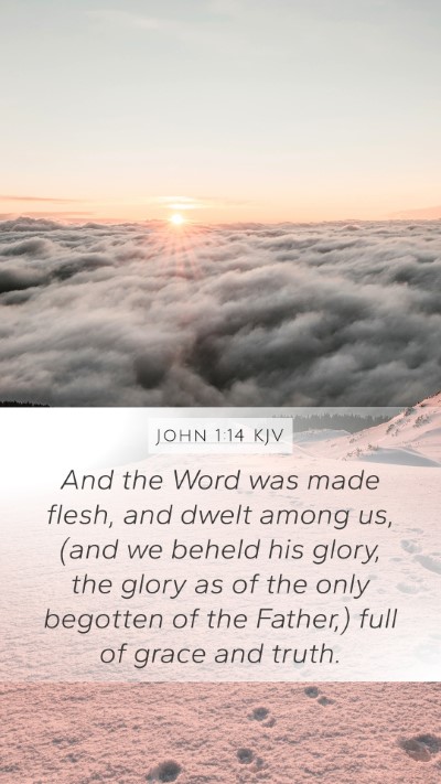 John 1:14 KJV Bible Verse Image