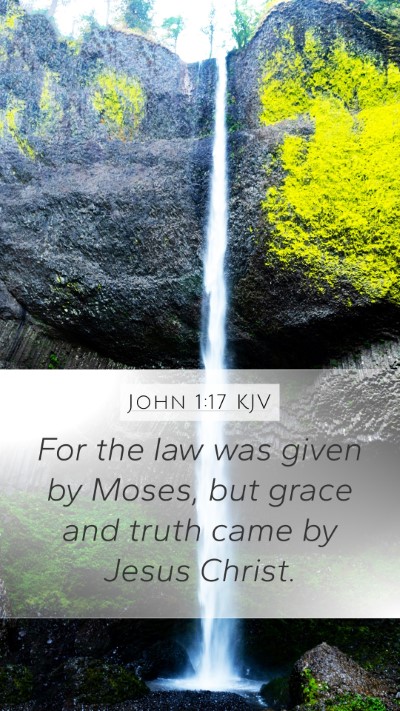 John 1:17 KJV Bible Verse Image