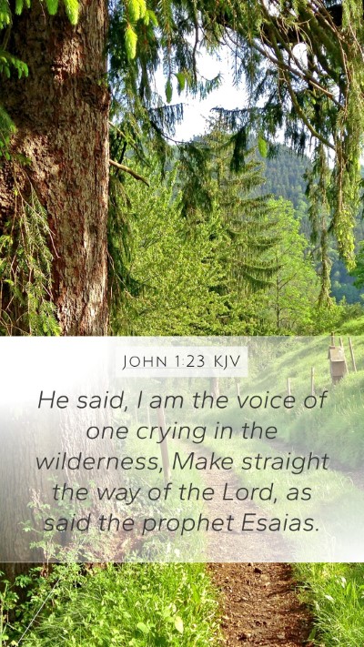 John 1:23 KJV Bible Verse Image