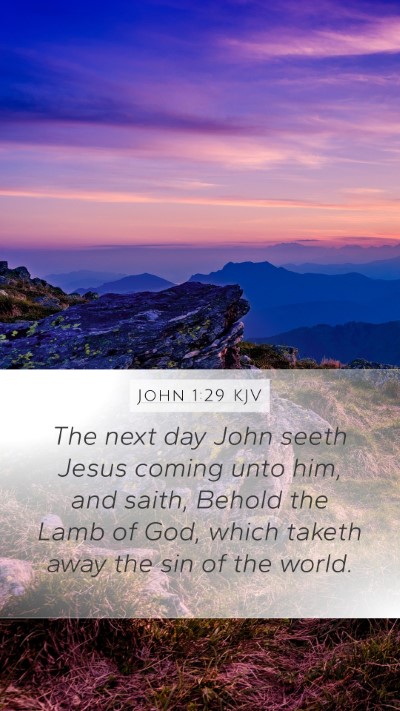 John 1:29 KJV Bible Verse Image