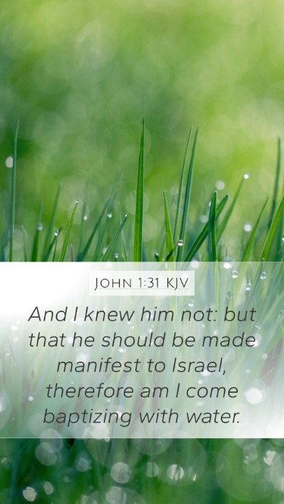 John 1:31 KJV Bible Verse Image