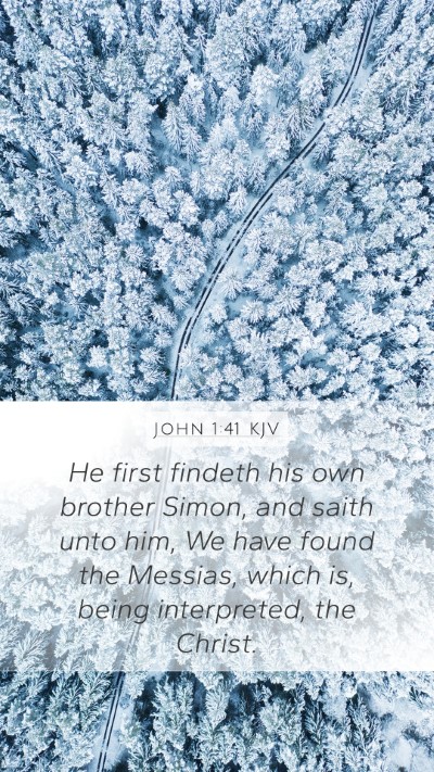 John 1:41 KJV Bible Verse Image