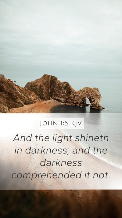 John 1:5 KJV Bible Verse Image