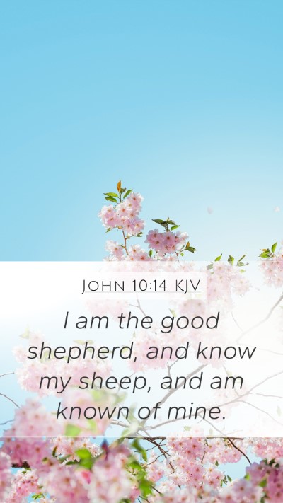 John 10:14 KJV Bible Verse Image