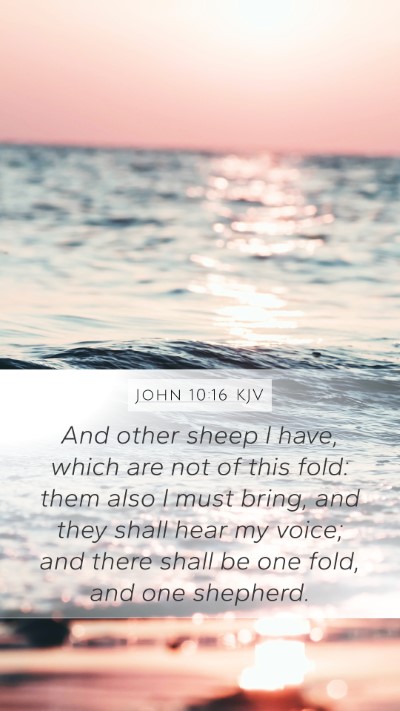 John 10:16 KJV Bible Verse Image