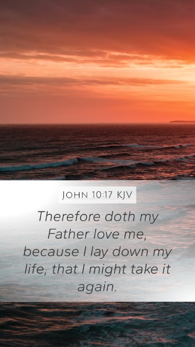John 10:17 KJV Bible Verse Image