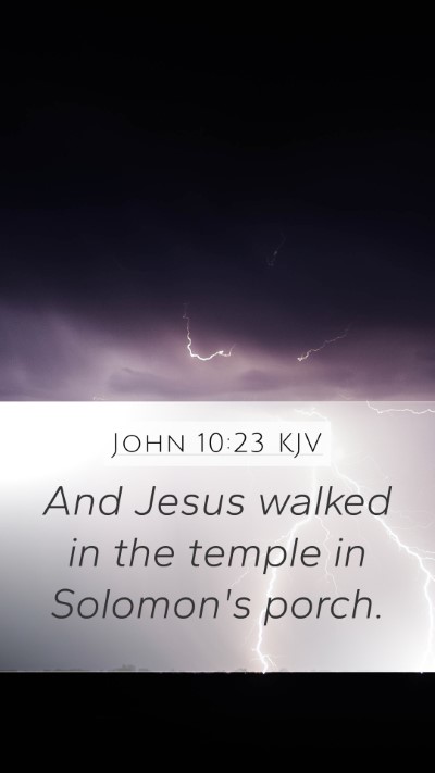 John 10:23 KJV Bible Verse Image