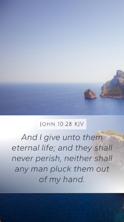 John 10:28 KJV Bible Verse Image