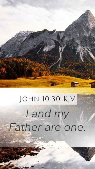 John 10:30 KJV Bible Verse Image