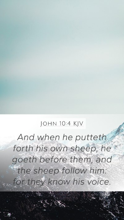 John 10:4 KJV Bible Verse Image