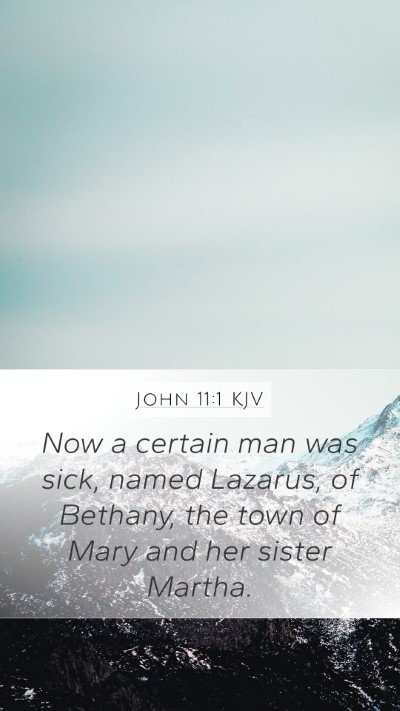 John 11:1 KJV Bible Verse Image