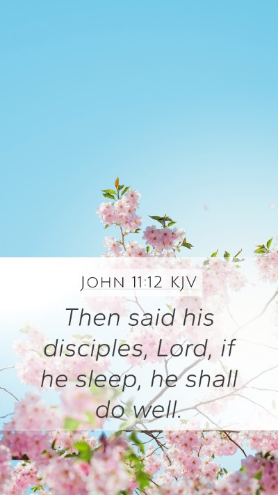 John 11:12 KJV Mobile Phone Wallpaper - Then said his disciples, Lord, if he sleep, he - Mobile Bible Verse Wallpaper