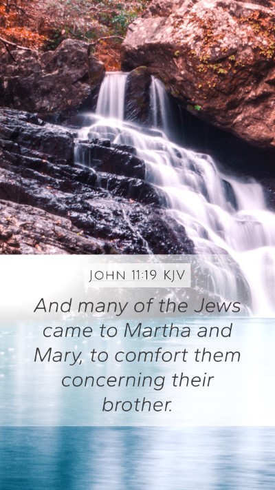 John 11:19 KJV Bible Verse Image