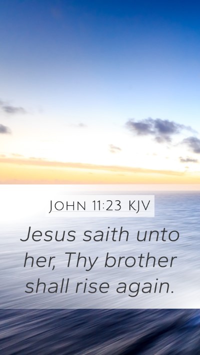 John 11:23 KJV Bible Verse Image