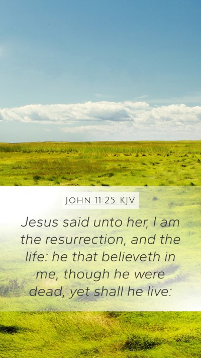 John 11:25 KJV Bible Verse Image