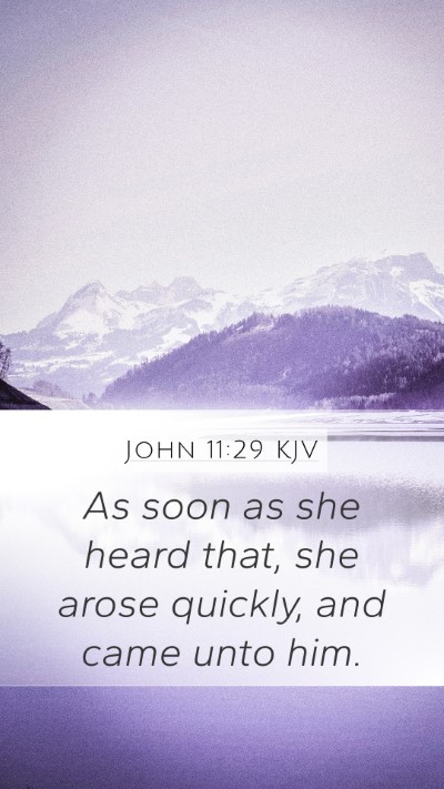 John 11:29 KJV Mobile Phone Wallpaper - As soon as she heard that, she arose quickly, and - Mobile Bible Verse Wallpaper