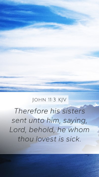 John 11:3 KJV Bible Verse Image