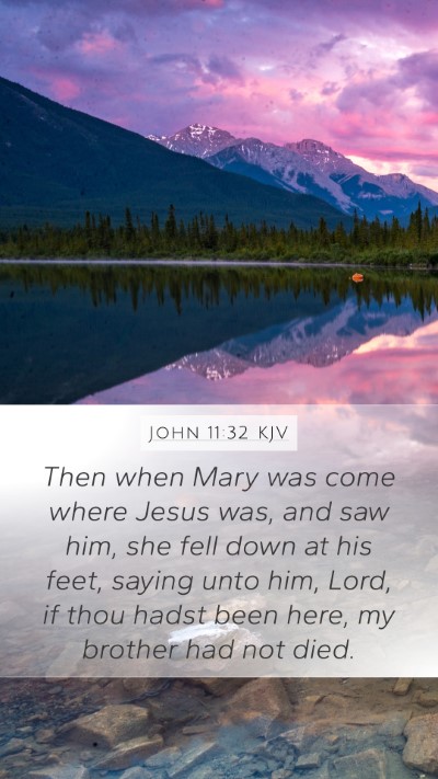John 11:32 KJV Bible Verse Image