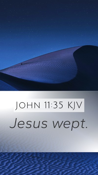 John 11:35 KJV Bible Verse Image