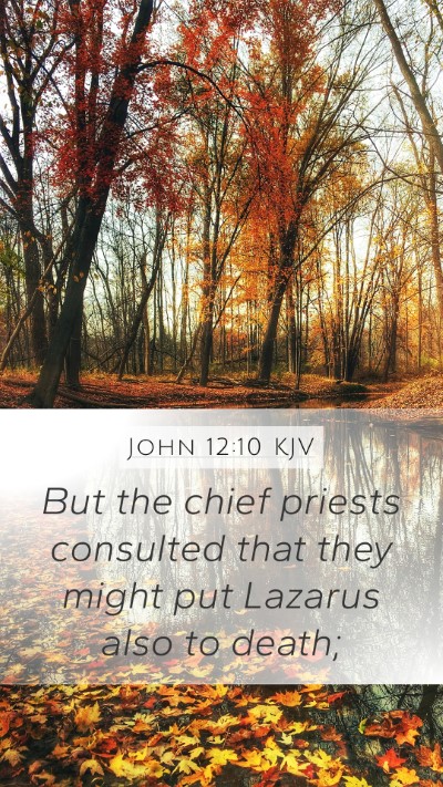 John 12:10 KJV Bible Verse Image