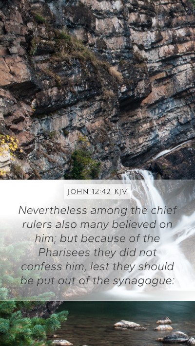 John 12:42 KJV Bible Verse Image