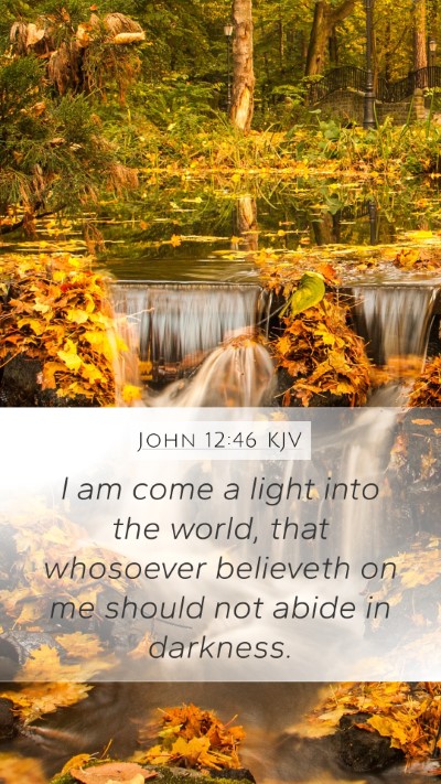 John 12:46 KJV Bible Verse Image