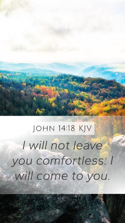 John 14:18 KJV Bible Verse Image