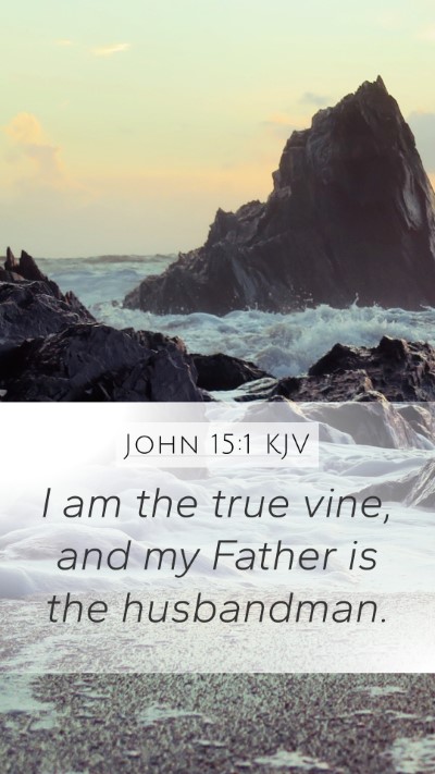 John 15:1 KJV Bible Verse Image