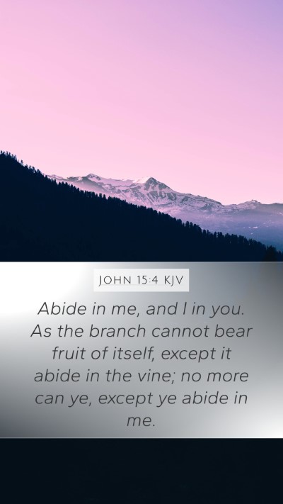 John 15:4 KJV Bible Verse Image
