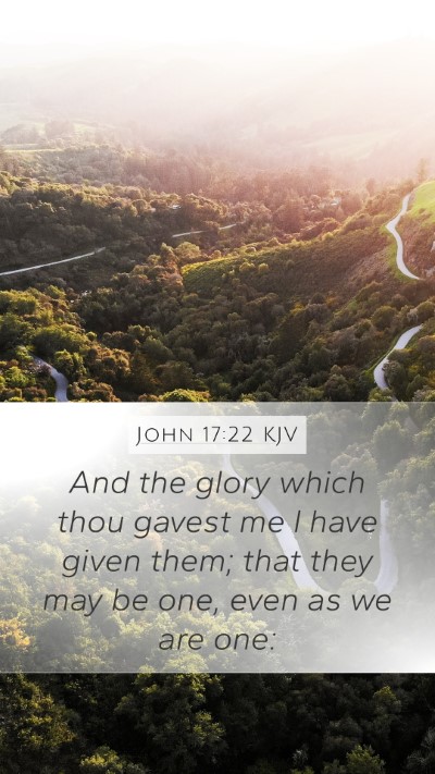 John 17:22 KJV Bible Verse Image