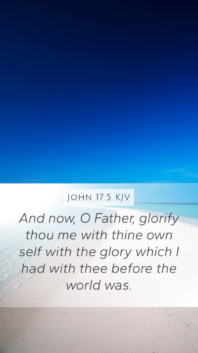 John 17:5 KJV Bible Verse Image