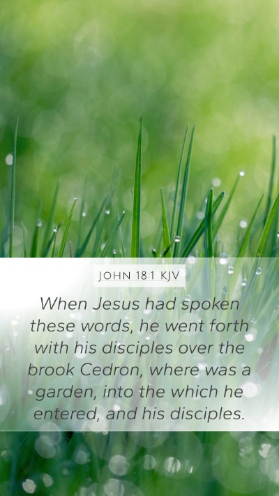 John 18:1 KJV Bible Verse Image