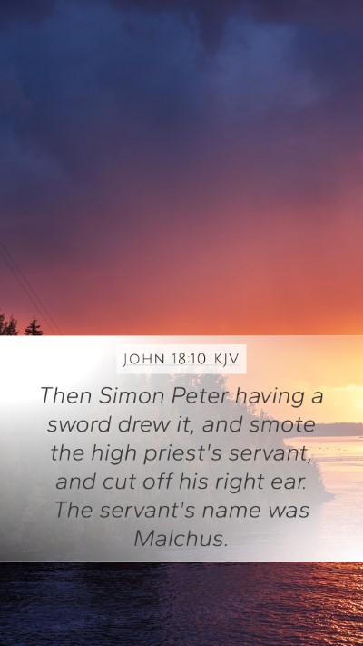 John 18:10 KJV Bible Verse Image