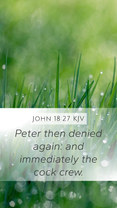 John 18:27 KJV Bible Verse Image