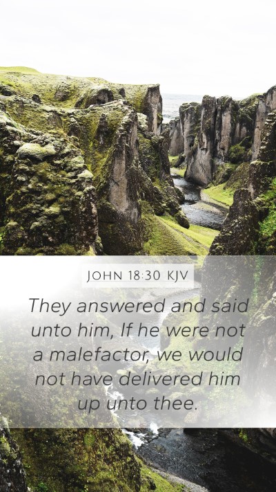 John 18:30 KJV Bible Verse Image