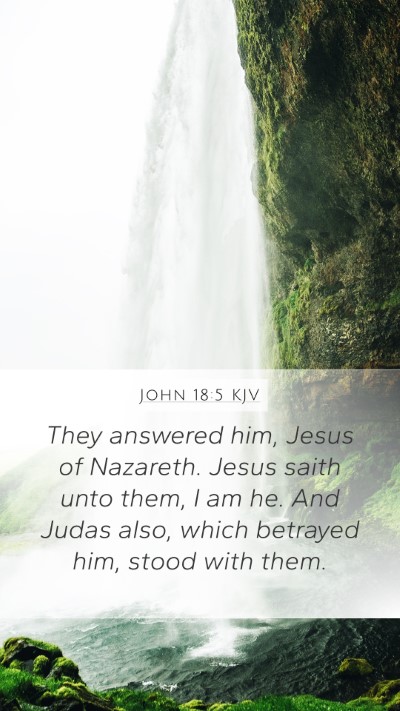 John 18:5 KJV Bible Verse Image