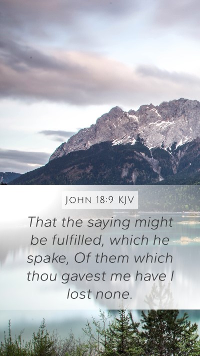 John 18:9 KJV Bible Verse Image