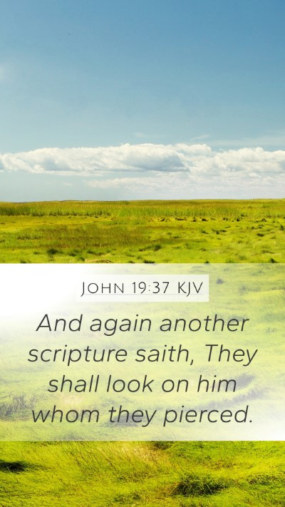 John 19:37 KJV Bible Verse Image