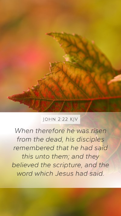 John 2:22 KJV Mobile Phone Wallpaper - When therefore he was risen from the dead, his - Mobile Bible Verse Wallpaper