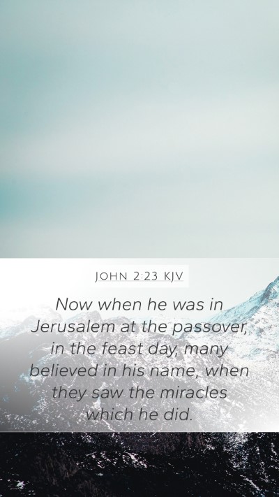 John 2:23 KJV Bible Verse Image