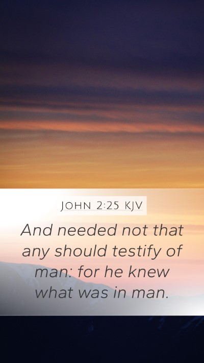 John 2:25 KJV Bible Verse Image