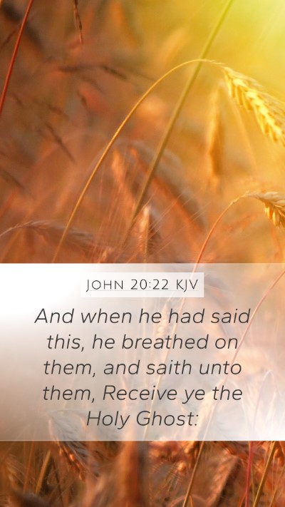John 20:22 KJV Bible Verse Image