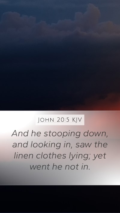 John 20:5 KJV Bible Verse Image