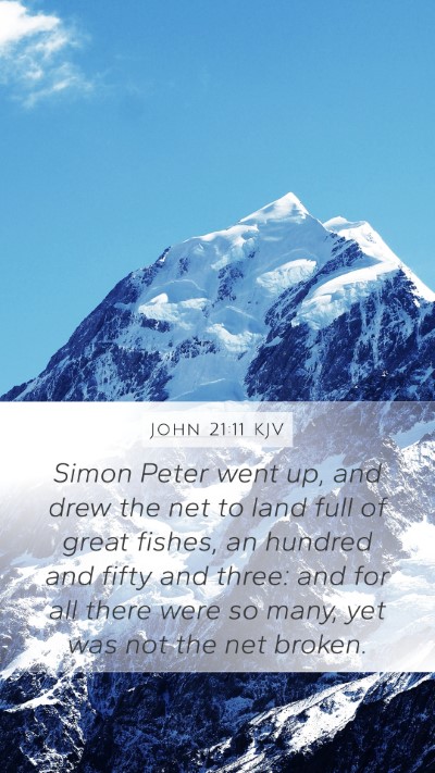 John 21:11 KJV Mobile Phone Wallpaper - Simon Peter went up, and drew the net to land - Mobile Bible Verse Wallpaper