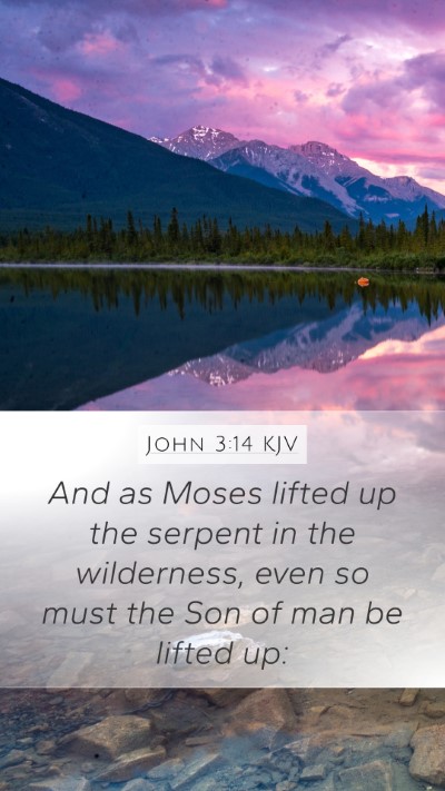 John 3:14 KJV Bible Verse Image