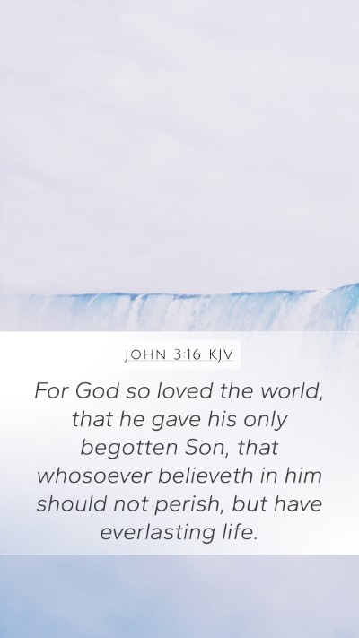 John 3:16 KJV Bible Verse Image