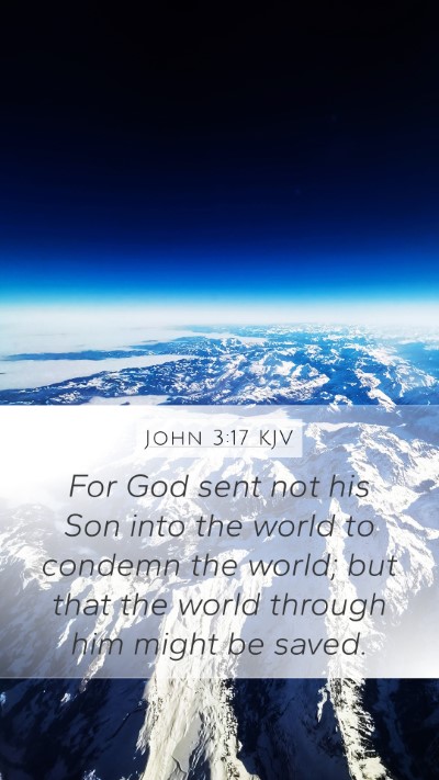 John 3:17 KJV Bible Verse Image