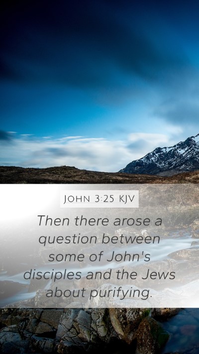 John 3:25 KJV Bible Verse Image
