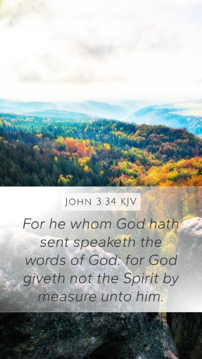 John 3:34 KJV Bible Verse Image