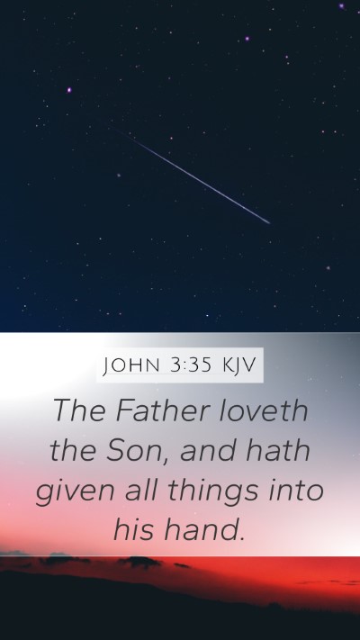 John 3:35 KJV Bible Verse Image